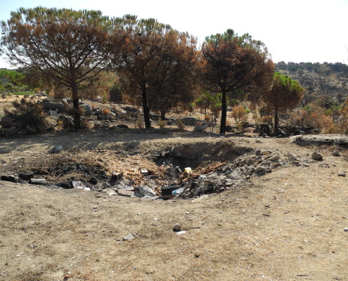 investigación de incendios forestales