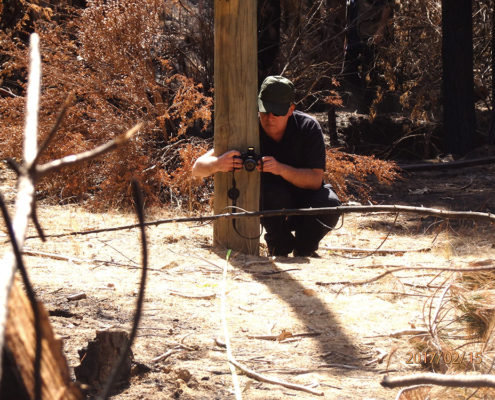 investigación de incendios forestales